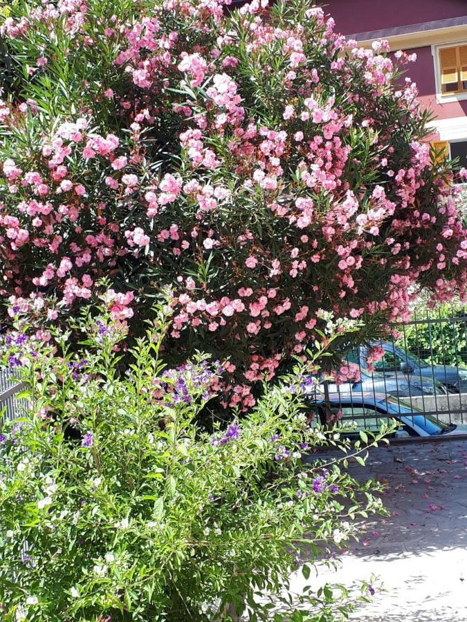 Apartment Enrica